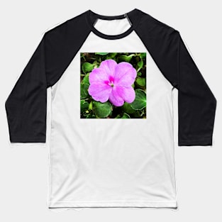 Busy Lizzie/Impatiens walleriana Baseball T-Shirt